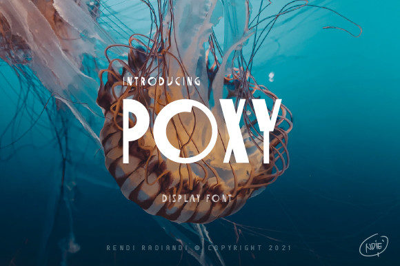 Poxy Display Font for Modern Web Design