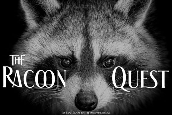 The Racoon Quest Display Font for Handmade Brands